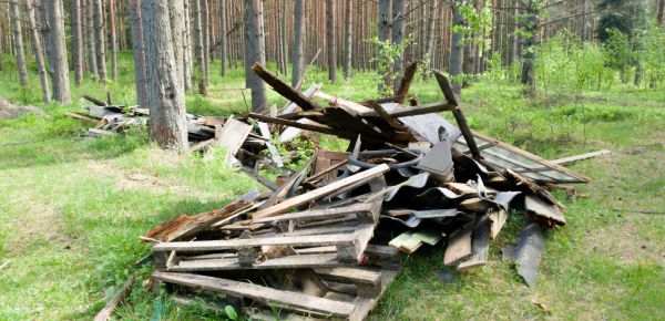 Debris Removal Service in Woodinville